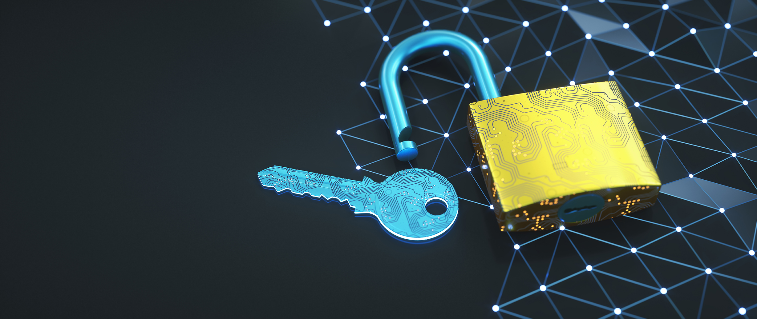 open access network