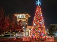 Rancho Cordova FiberCity® to Sponsor the Cordova Community Christmas Tree Lighting