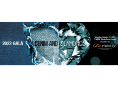 ROCKFORD FIBERCITY® SPONSOR DENIM AND DIAMONDS GALA
