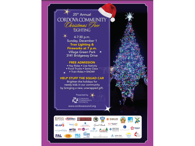 Christmas Tree Lighting Sponsor